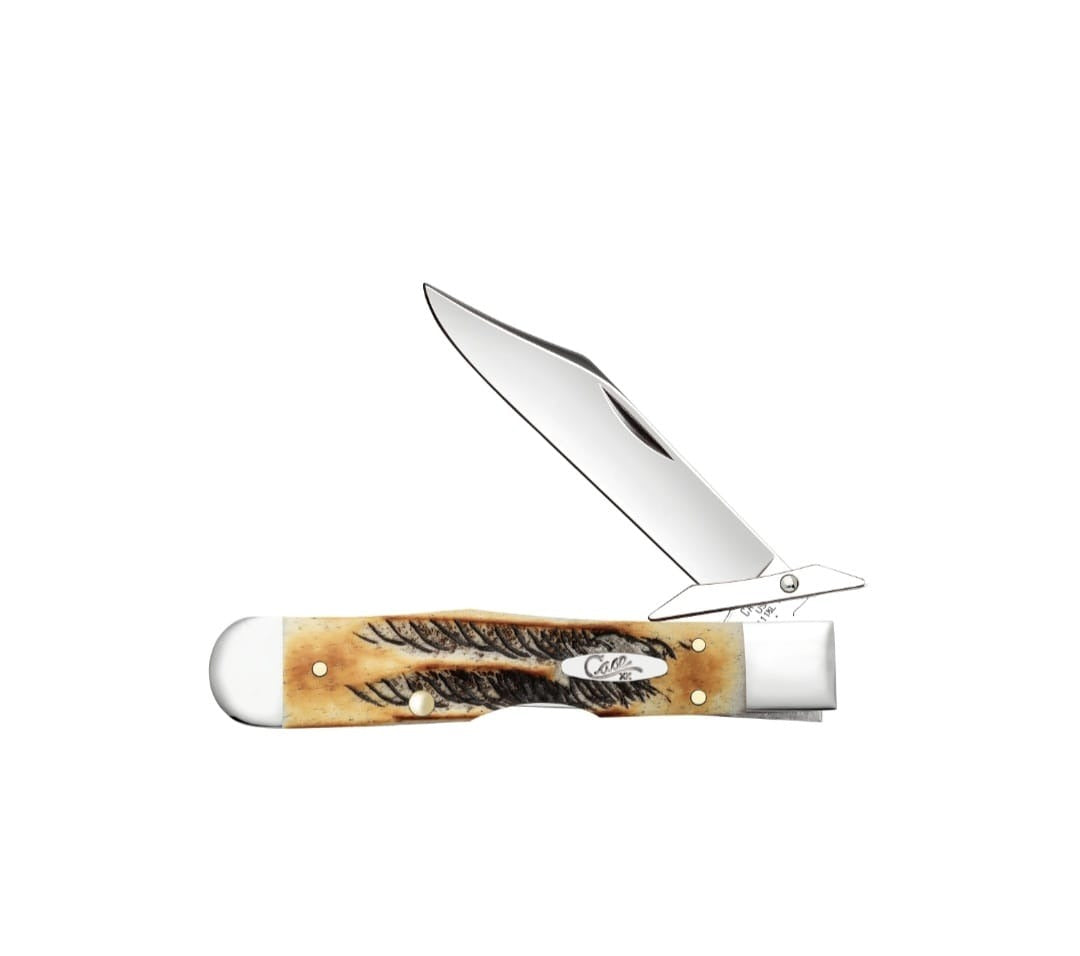 Case 6.5 Bone Stag Cheetah Cub