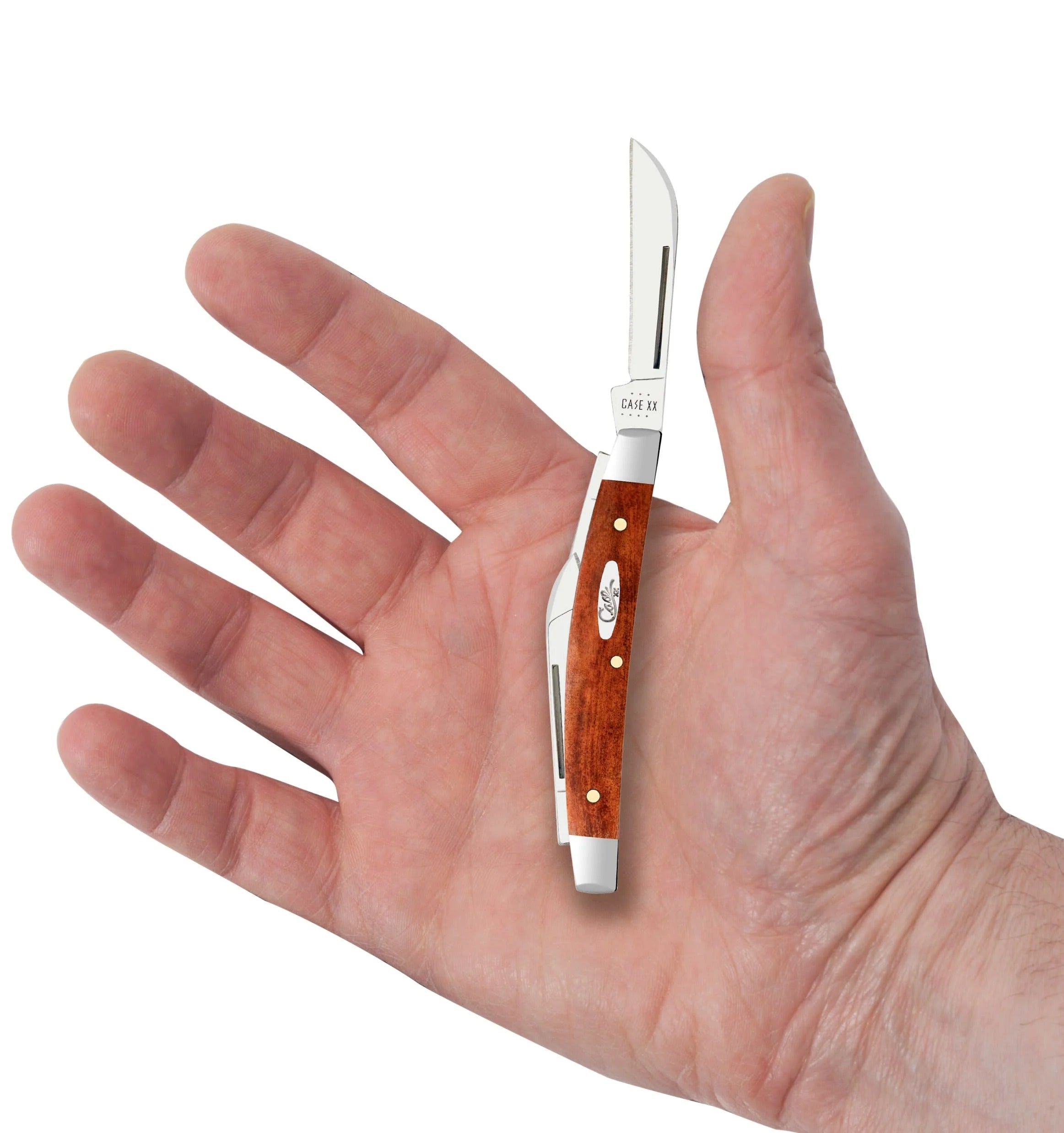 Case XX Chestnut Bone Smooth Small Congress