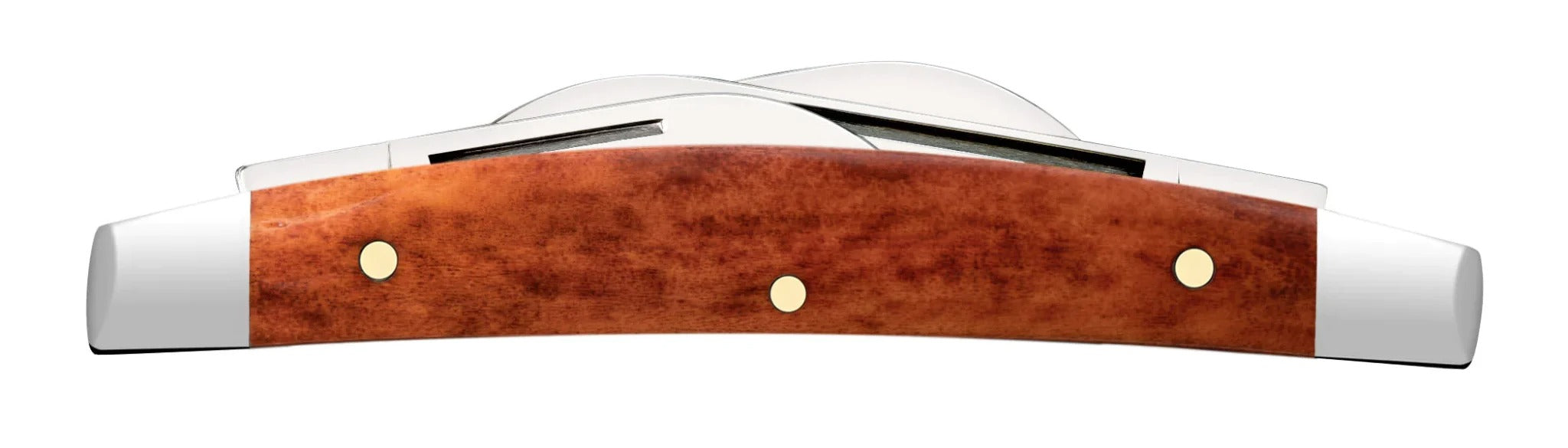 Case XX Chestnut Bone Smooth Small Congress