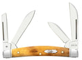 Case XX Antique Bone Smooth Small Congress