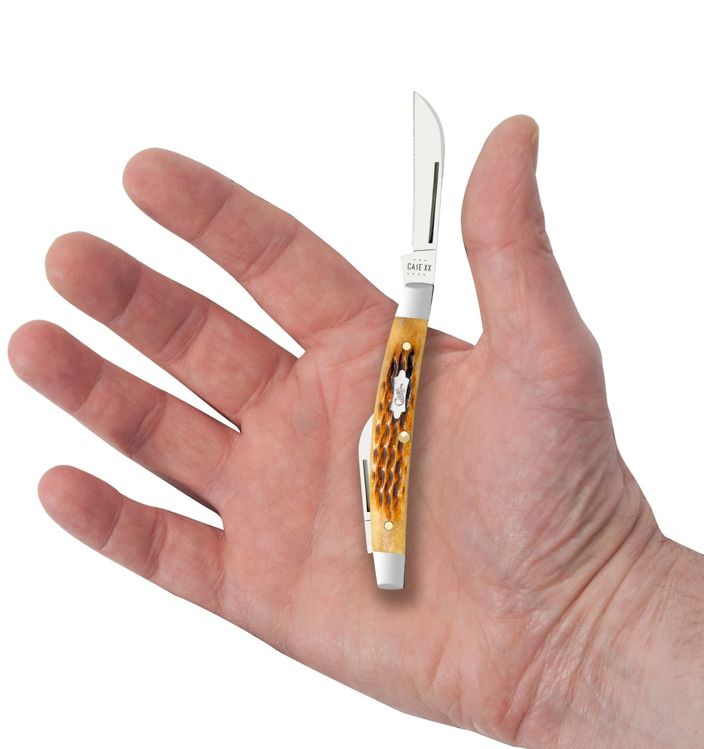 Case XX Antique Bone Smooth Small Congress