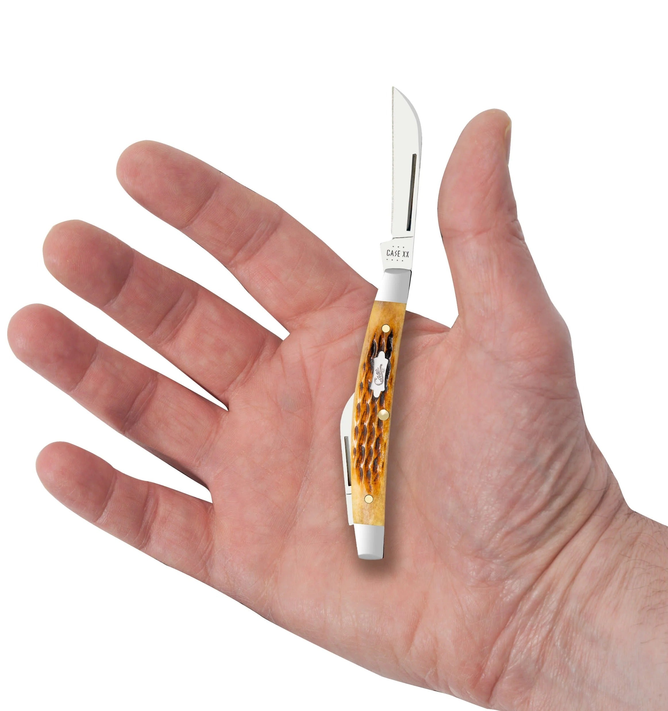 Case XX Antique Bone Smooth Small Congress