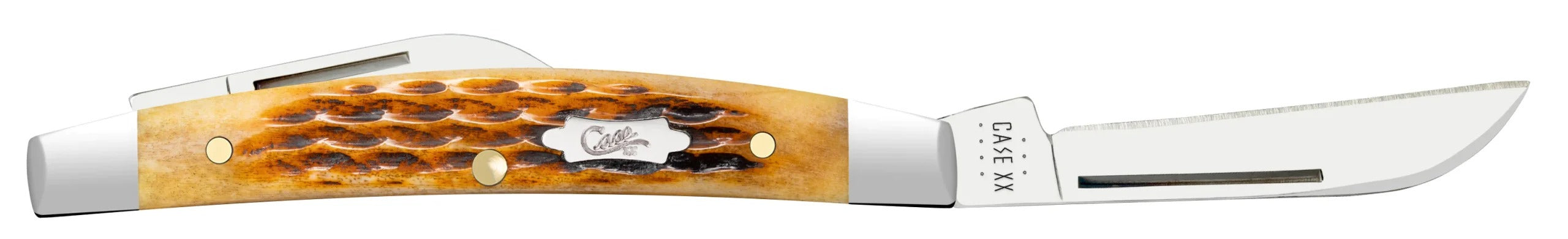 Case XX Antique Bone Smooth Small Congress