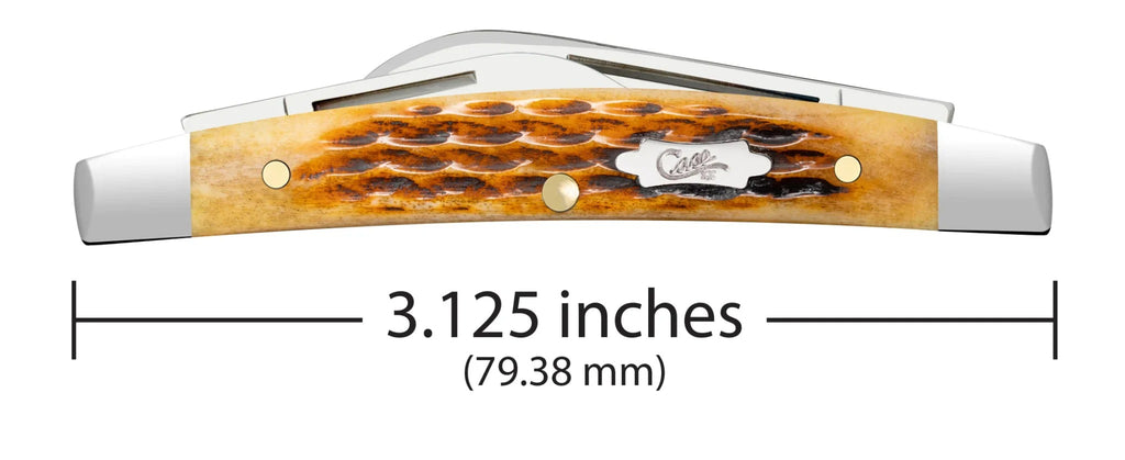 Case XX Antique Bone Smooth Small Congress