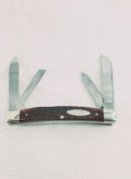 Case XX 1972 Red Bone Medium Congress