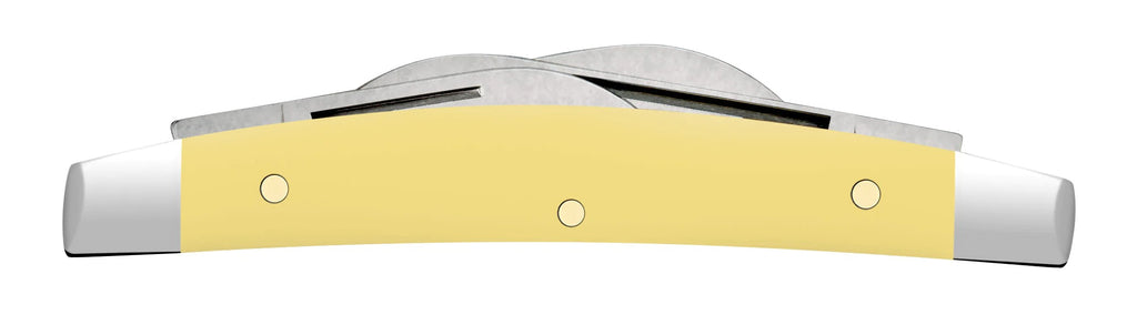 Case XX Yellow Synthetic Smooth Small Congress