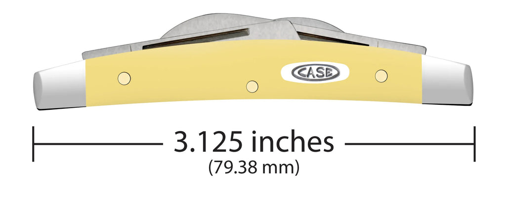 Case XX Yellow Synthetic Smooth Small Congress