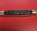 Case 1977 Brown Bone Moose Pocket Knife (Used)