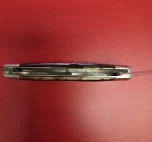 Case 1977 Brown Bone Moose Pocket Knife (Used)