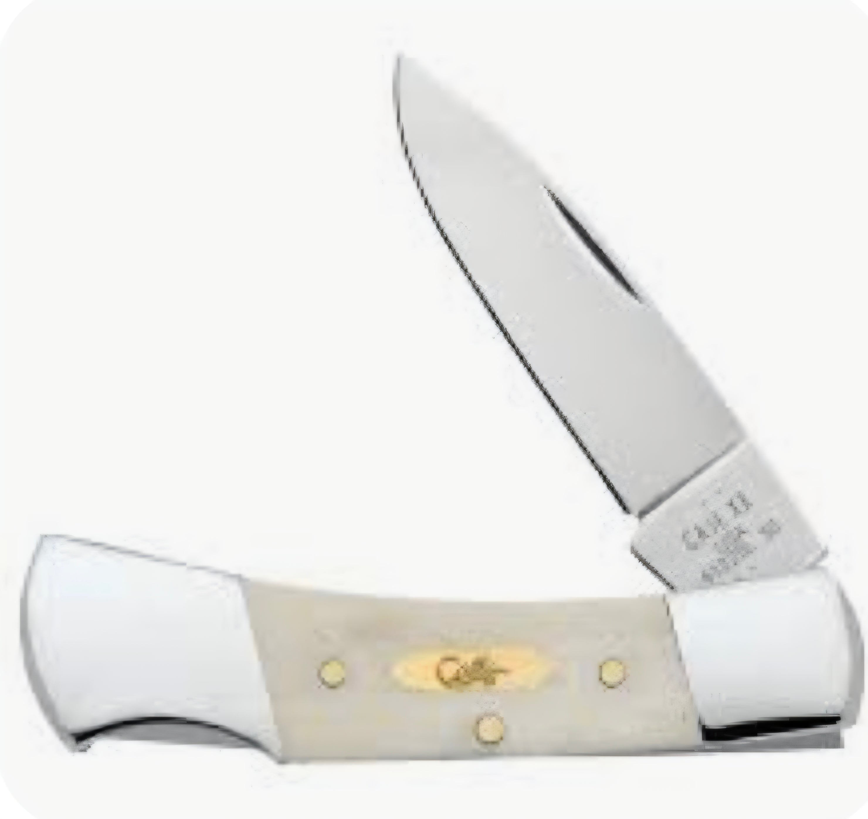 Case XX Natural Smooth Bone Small Lockback