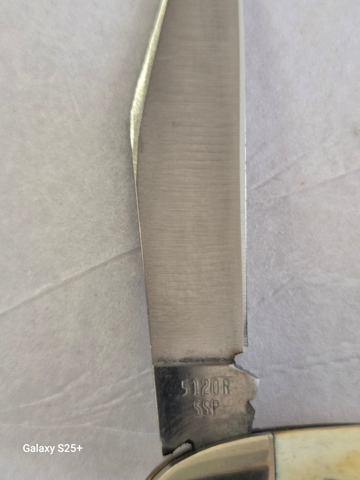 Case XX Vintage 5120R SSP Stag Pocket Knife with Bail (1965–1969)