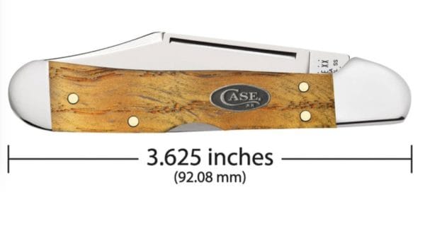 Screenshot_20240905-115845_Chrome Screenshot_20240905-115845_Chrome