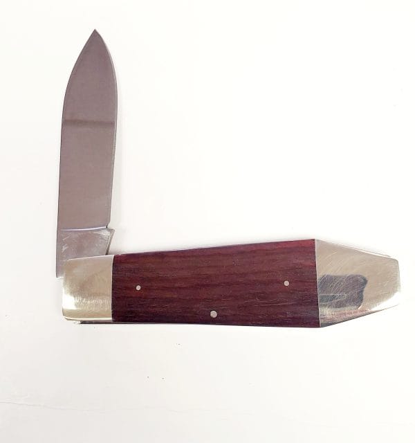 20250405_111513 20250405_111513