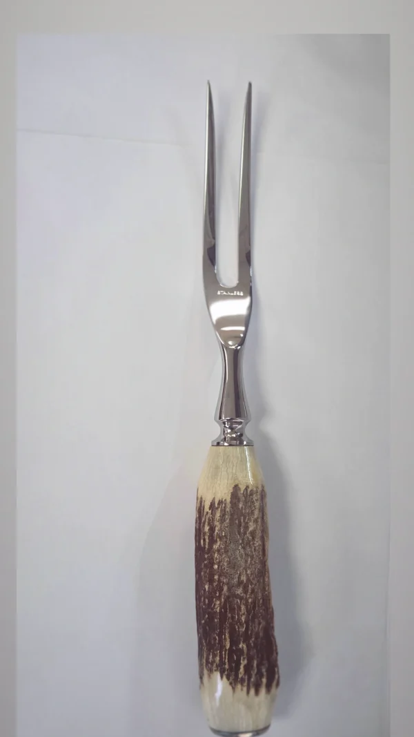 1000048595 1000048595