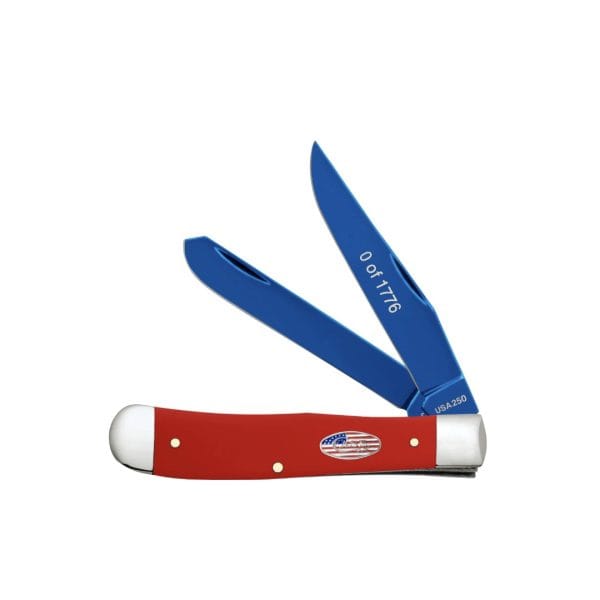 1000098336 1000098336